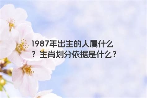 1987年属相|1987年出生的属什么属相 1987年出生的人是什么属相